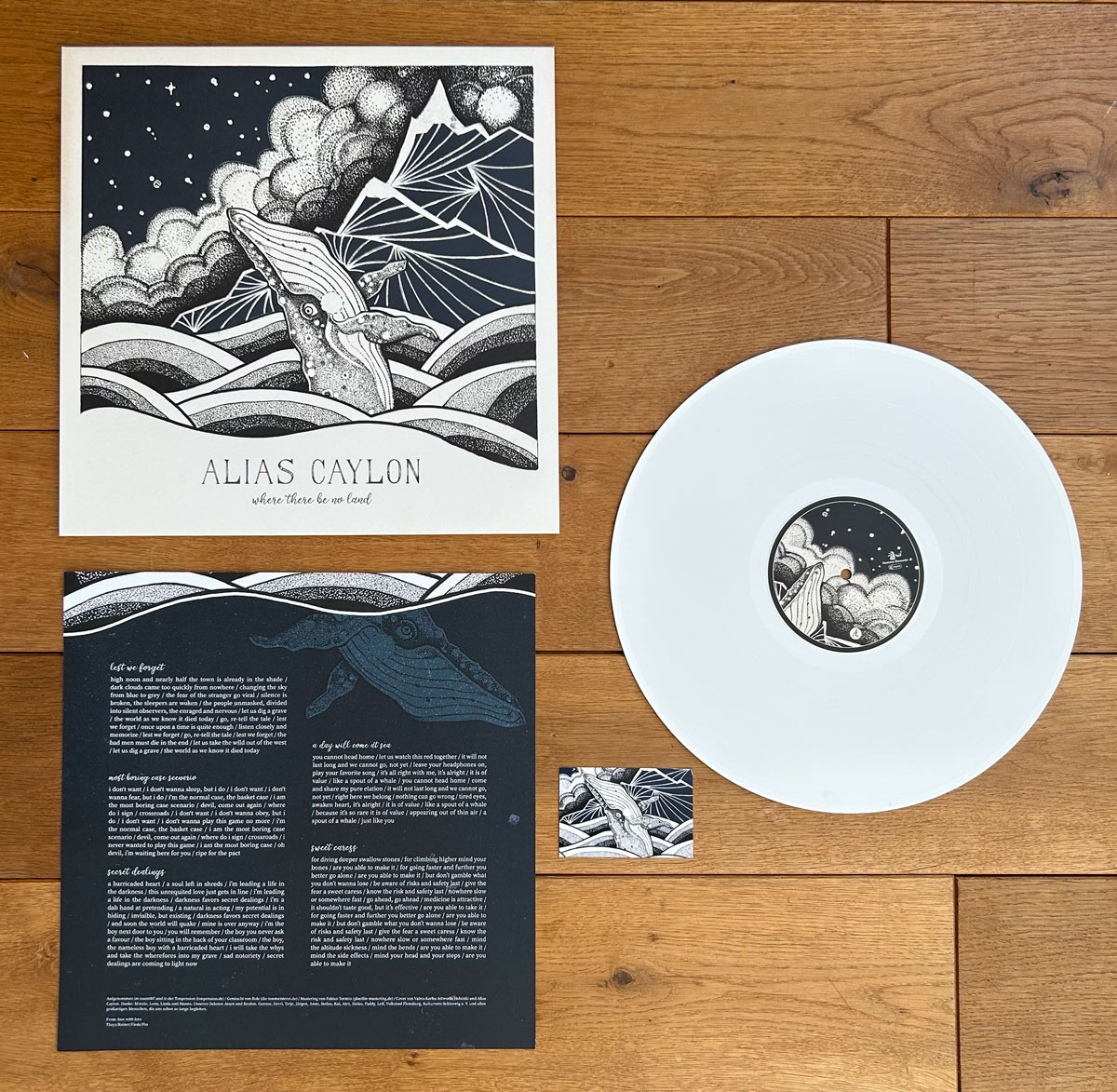 Vinyl LP "Where there be no land" – Bild 2